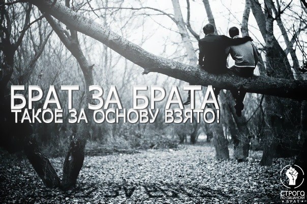 Сергей Залужный | Запорожье