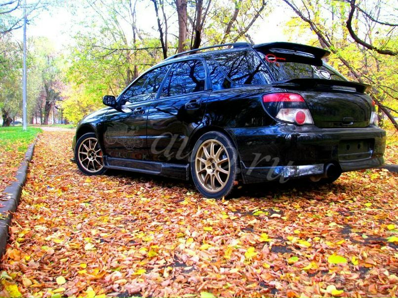 Плахой Коть Без Совестный | Москва