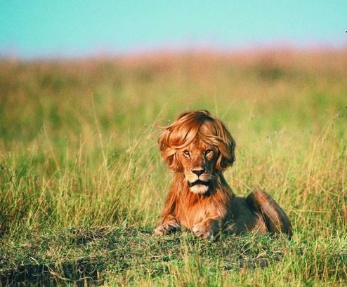 Ирина Ховрина | Зеленогорск