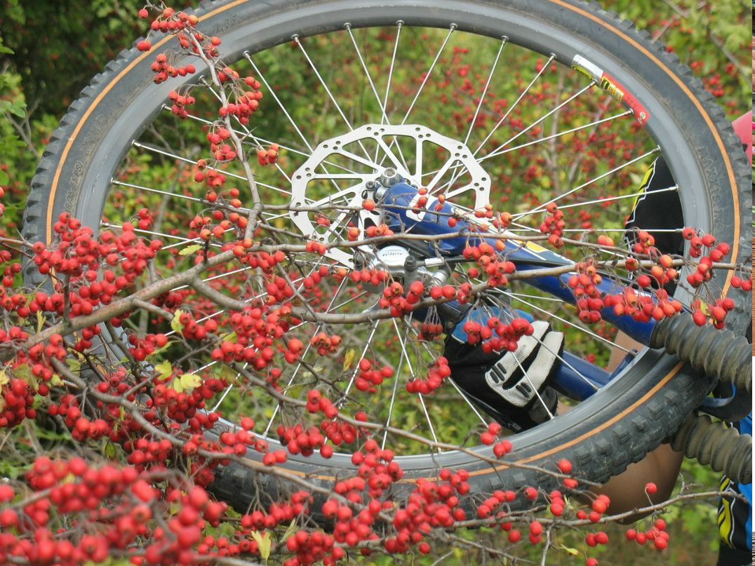 Вадим Богданович | Одесса