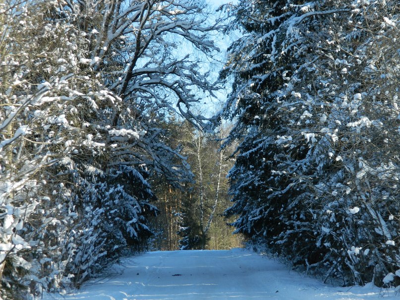 Светлана Семёнова | Норильск