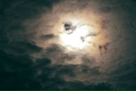 №36 Александр Шапошников : профиль, фото, статус - ВКонтакте