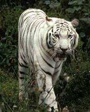 №9, Просто Так, 32 года, Москва №9, Просто Так, 32 года, Москва