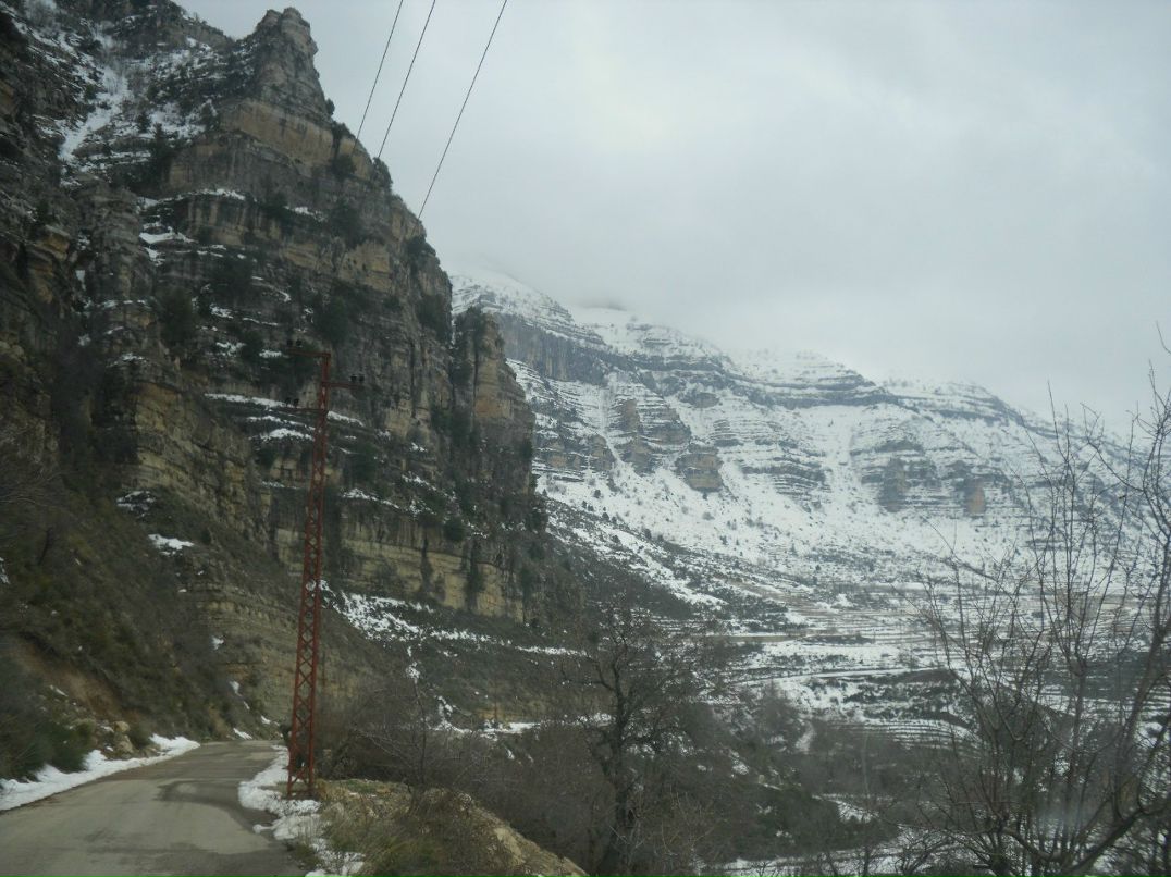 Alina Simonova | Сумы