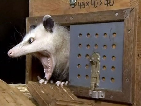 Владимир Лодатко ☜Ӓp☯sنm☞ | Лянтор