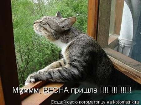 Марина Белоглазова Белка | Тамбов