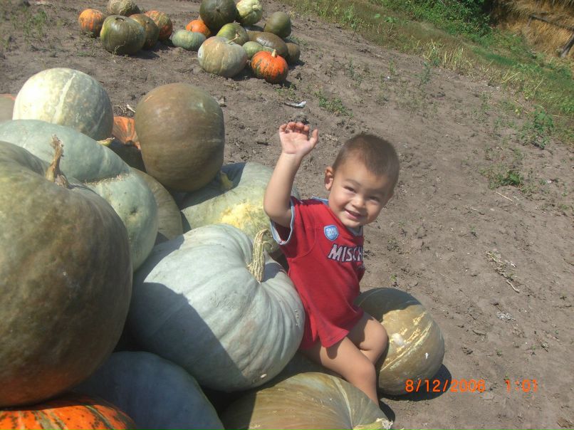 Вита Выговская | Дергачи