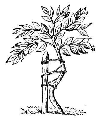 №52, Даня Мишенкова, Днепр (Днепропетровск) №52, Даня Мишенкова, Днепр (Днепропетровск)