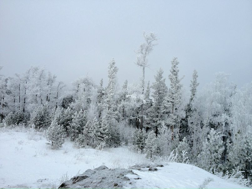 Василий Голосов | Киров