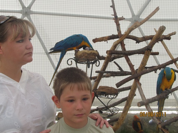 №16, Тимур Печёрин №16, Тимур Печёрин