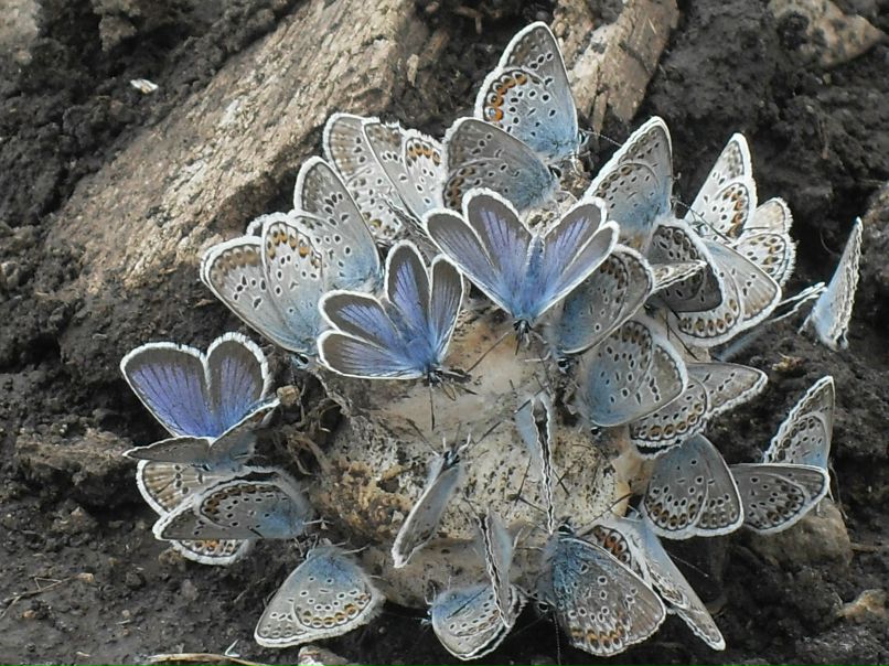 Анастасия Фомина | 