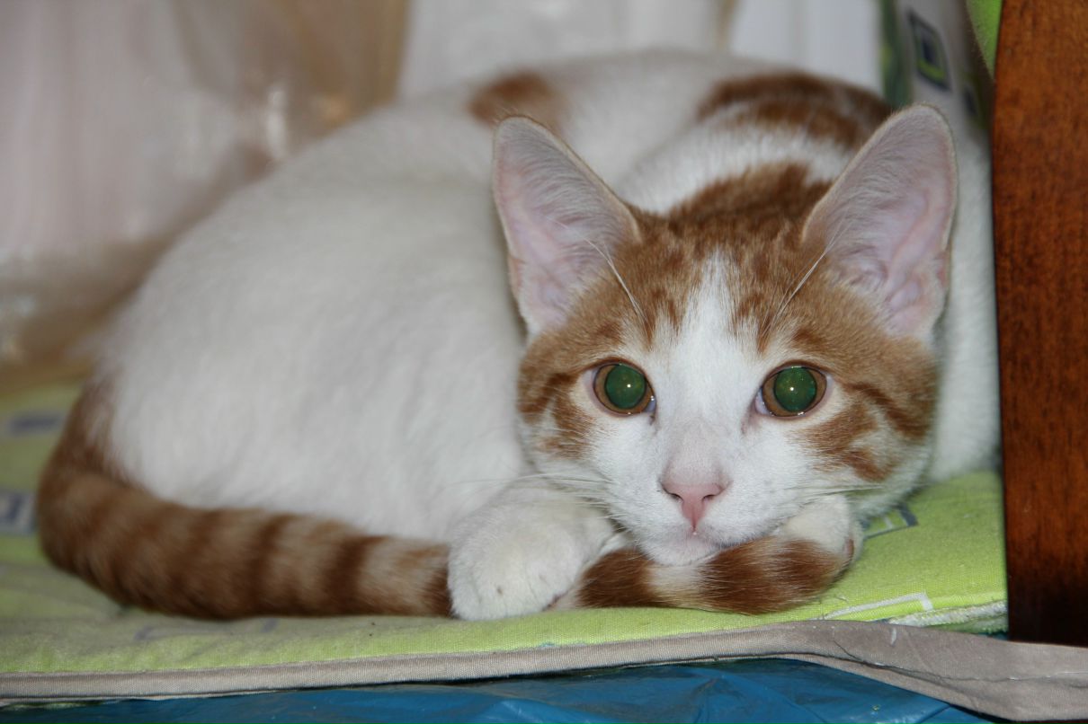 Виктория Борткевич | Beijing