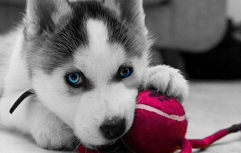 Натали Кирилюк-Фатова SKAZKA | 