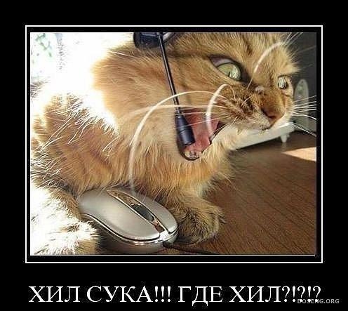 Дмитрий Попович | Каменец-Подольский