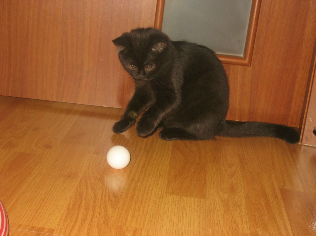 Анастасия Крыгина | 