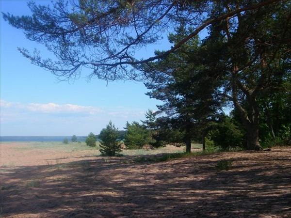 Анна Колесникова | Санкт-Петербург