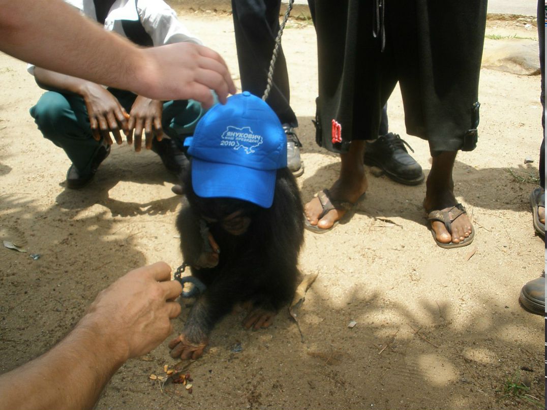 Олег Корчевой | Одесса