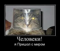 Andrey Petrov | Симер