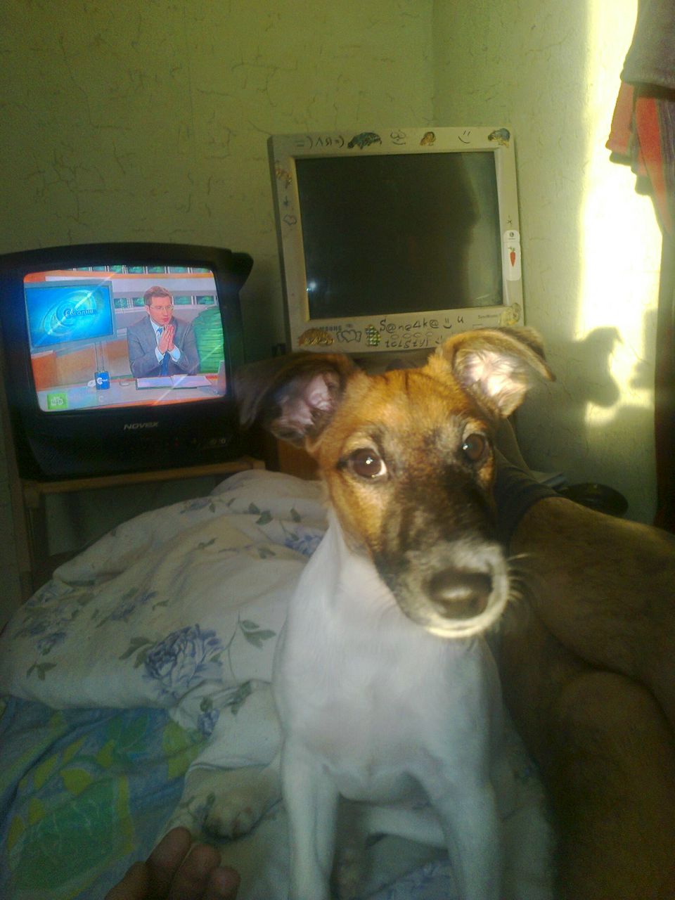 Карен Маркарян | Москва