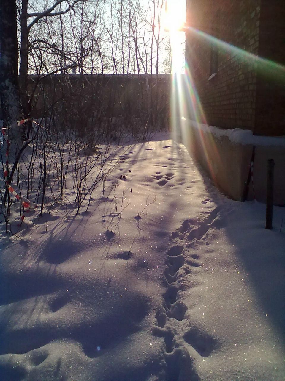 Екатерина Николаевна | Орехово-Зуево