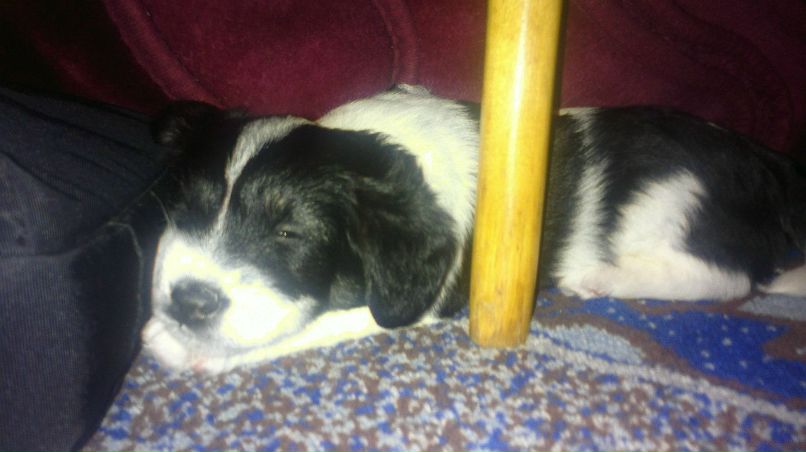 Александр Воробьев | Екатеринбург