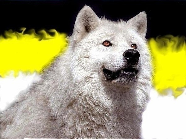 №9, Тимофей Миланов, 28 лет, Москва №9, Тимофей Миланов, 28 лет, Москва