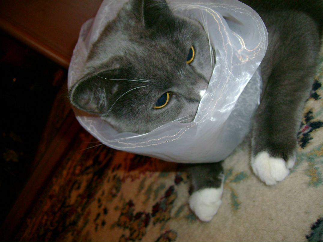 Алёна Александрова | Санкт-Петербург