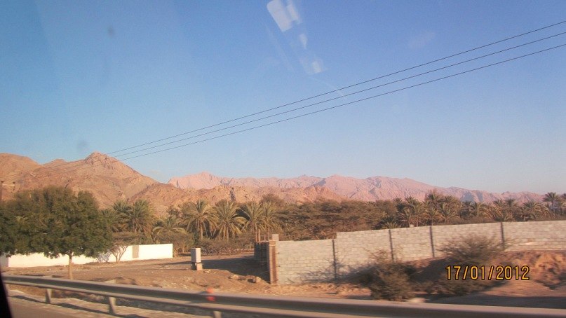 Светлана Александрова | Berlin