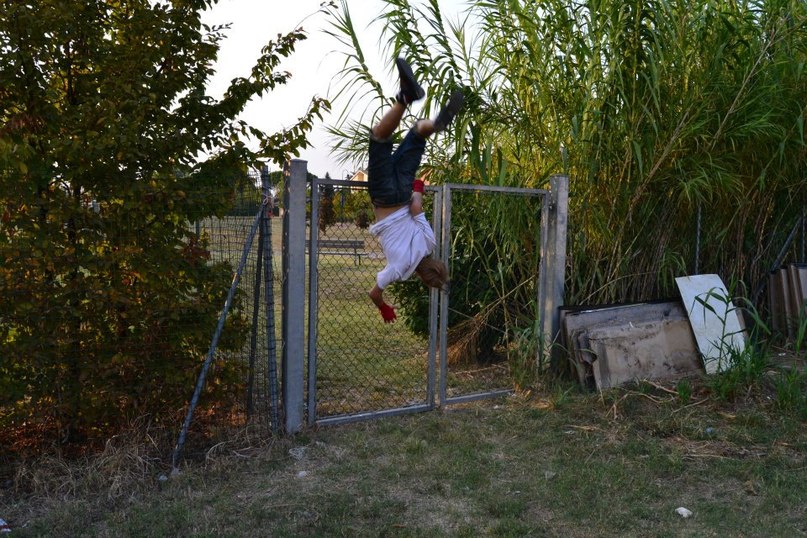 Руслан Мамедов DEN | Bologna