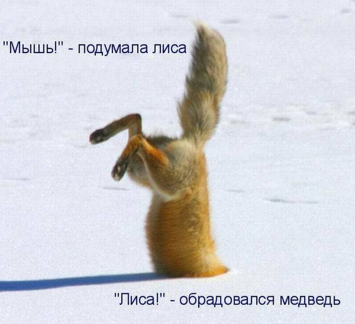 Катерина Ганнущенко | Киев