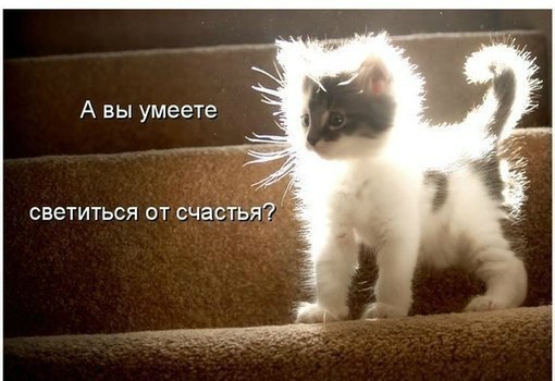 Чингиз Ахметов | Уфа