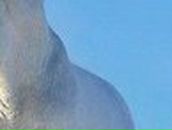 Екатерина Брегеда ___ஜ۩۞۩ஜ___ | Мариуполь