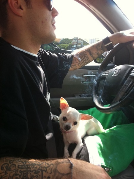 №82, Мушех Хачатрян, 110 лет, Ялта №82, Мушех Хачатрян, 110 лет, Ялта