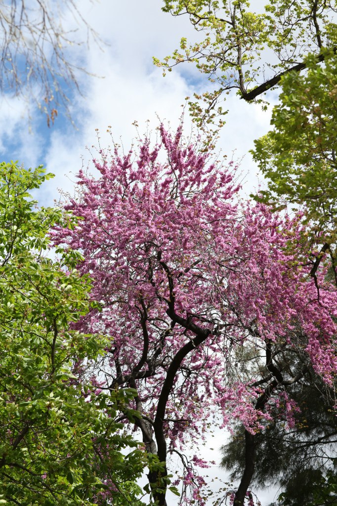 Антон Волков | Хрящи