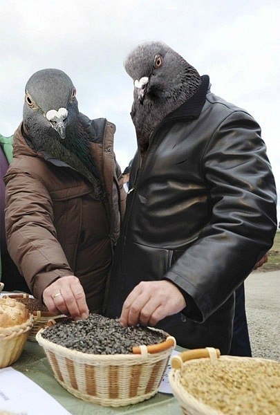 Илья Кутейников | Ростов-на-Дону