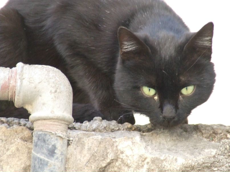 Маргарита Дубенкова | Запорожье