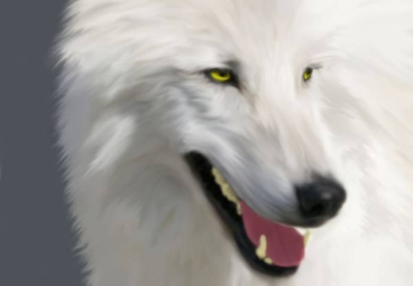 Карина Капорцева | Москва