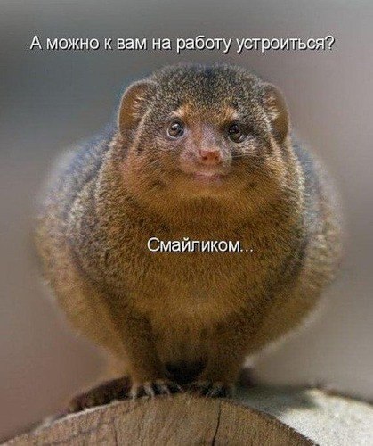 №14, Света Патрушева №14, Света Патрушева