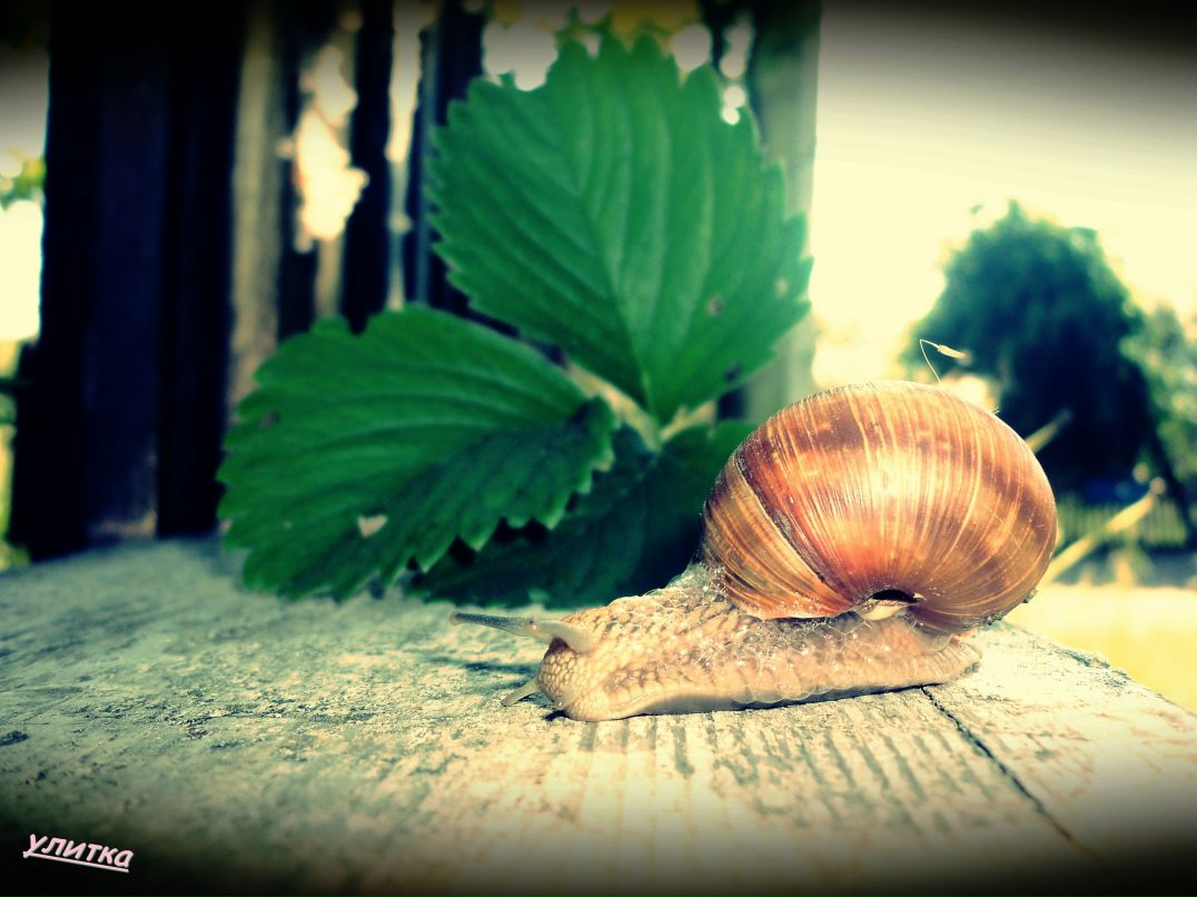 Татьяна Косенкова | Минск