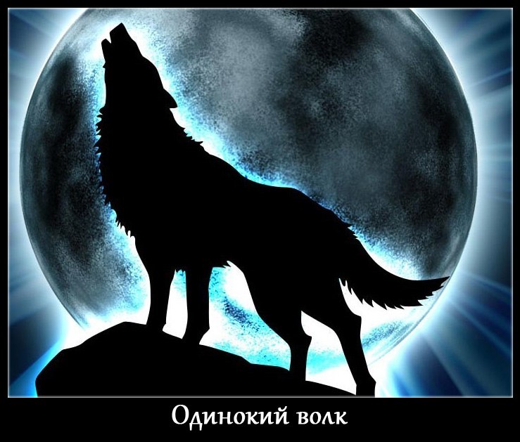 Банда Богданов | Курган