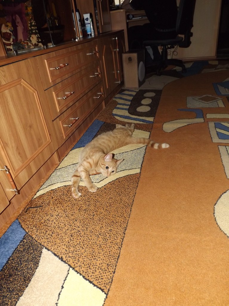 Дмитрий Сидоров | Екатеринбург