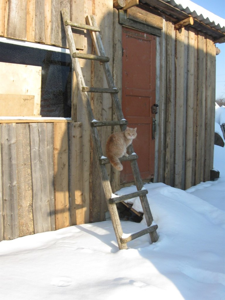 Татьяна Борисова | 