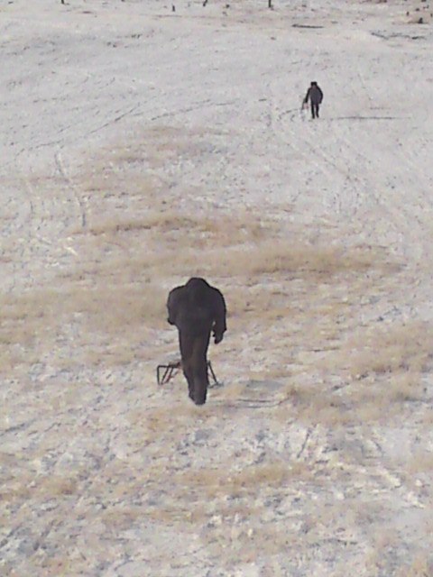 Денис Сухов TOURER_V | Чита