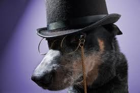 Дмитрий Корчемкин | Нижний Новгород