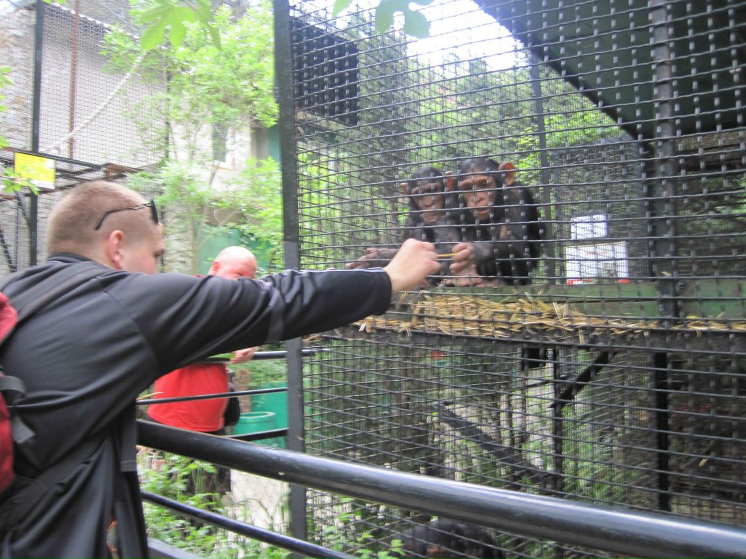 Андрей Носаль | Запорожье