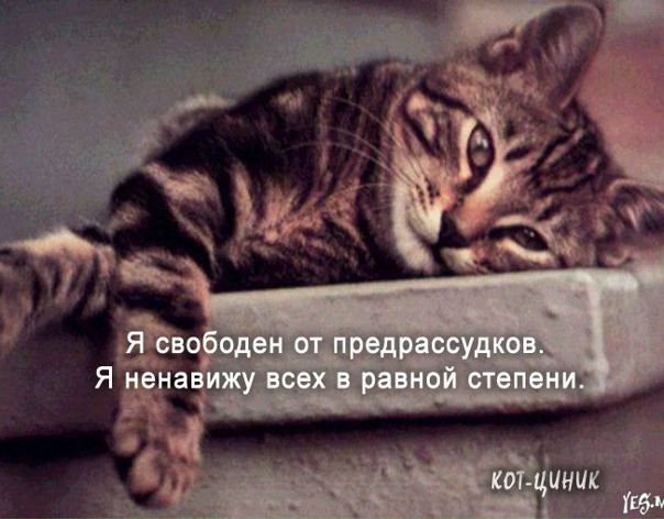 №2, Светлана Цызак №2, Светлана Цызак