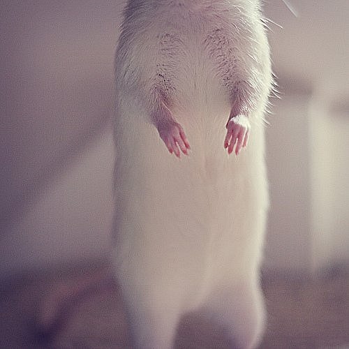 Элла Зыкова | Москва