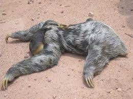 Алина Малина | Новосибирск