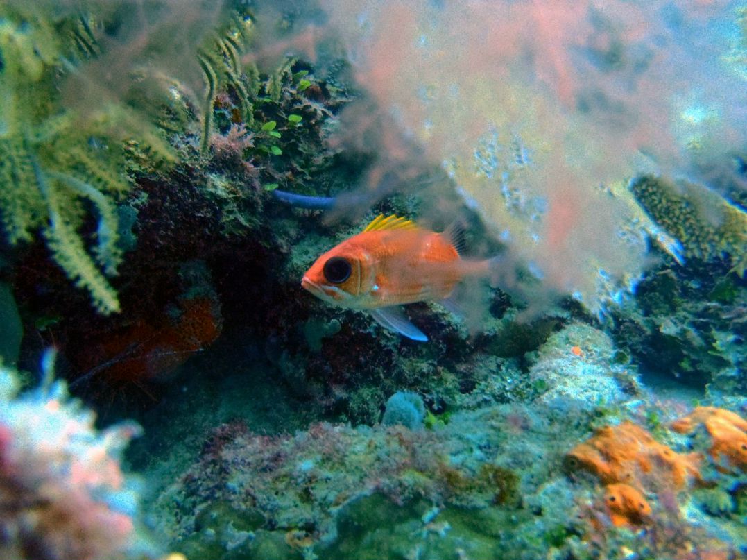 Валентин Лактюшин | North Vancouver