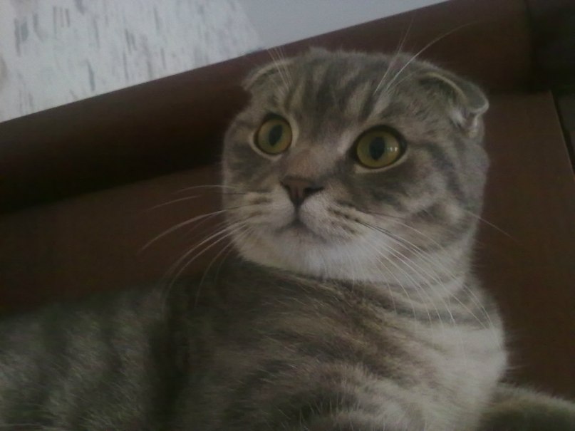 Сергей Маслюков | Воронеж